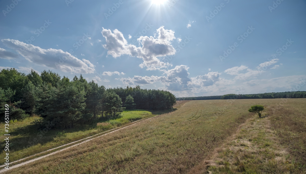 Polana leśna - pole, łąka - w lasach świętokrzyskich, Polana leśna - pole, łąka - w lasach świętokrzyskich,