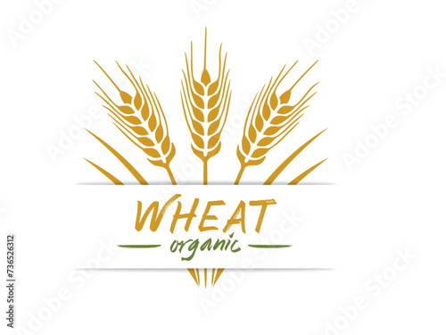 Agricultural Wheat Logo Vector Template Symbol Design