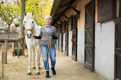 Positive elderly woman horse breeder working in farm, leading white thoroughbred racehorse with reins along stables outdoors..