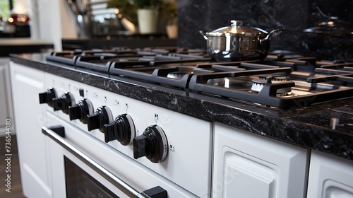Modern Gas Stove in Contemporary Kitchen
