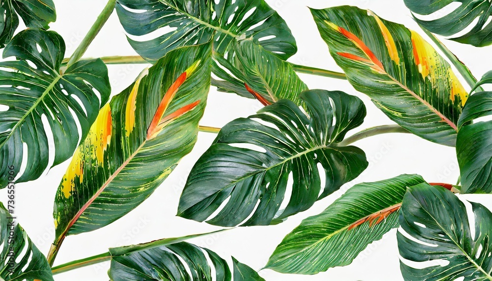 seamless tropical pattern with strelitzia with leaves on white background seamless pattern with colorful leaves of colocasia filodendron monstera exotic wallpaper hawaiian style