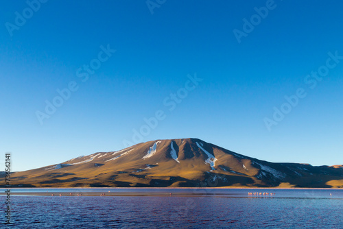 Laguna Colorada view  Bolivia