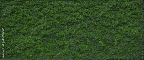 Isolated Green Bush Hedge Fence with Shadow, Transparent PNG Cutout