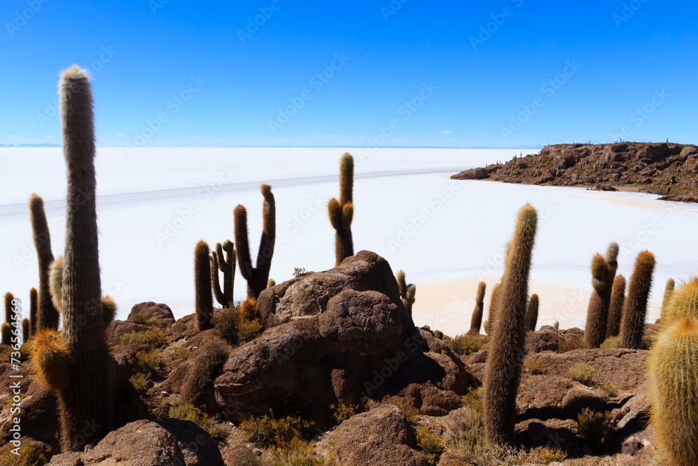 Salar de Uyuni view from Isla Incahuasi Salar de Uyuni view from Isla Incahuasi