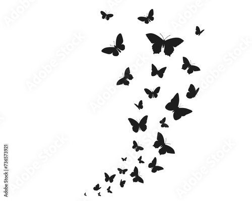 silhouette of butterflies
