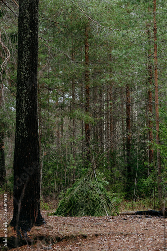 Wallpaper Mural A lonely hut on a hill by the lake. Torontodigital.ca
