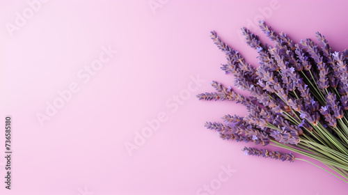 bunch of lavender flowers on light violet paste colored background #736585180