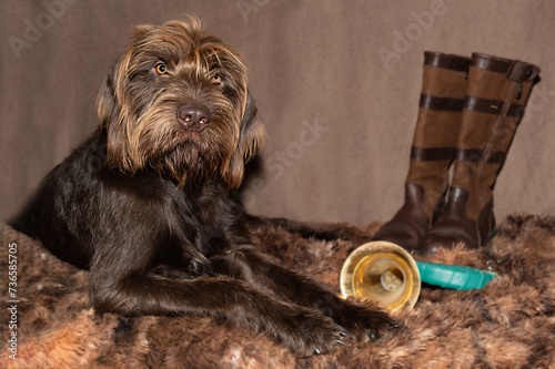 Jagdhund, Jagdhorn, Jagdstiefel