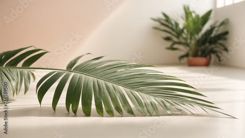  Subtle Elegance  Palm Leaf Shadows on White Wall and Cream Pastel Floor   