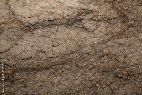 Speleology. Stone background abstract surface. The Bacho Kiro cave, Dryanovo, Bulgaria. photo