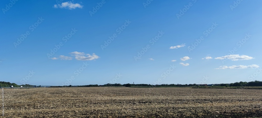 Mowed field under sky. Summer sunny day in the village. A wide field in which cereals grew. Yellow, withered, mown stems of plants remained on the field. Above there is a blue sky with rare low clouds