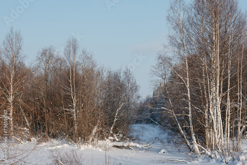 Winter expanses on a frosty sunny day.