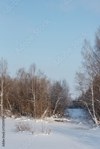 Wallpaper Mural Winter expanses on a frosty sunny day. Torontodigital.ca