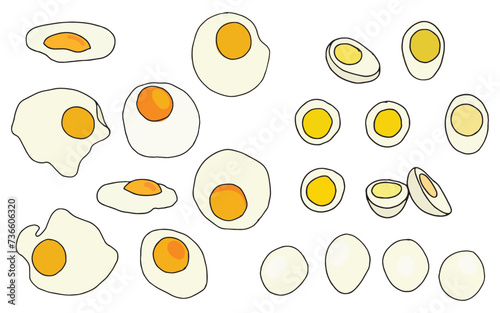 Set of eggs illustration