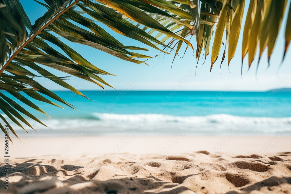 Fototapeta premium Tropical beach background