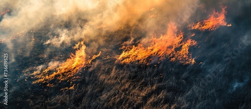 Intense fire and smoke in an open field viewed from above, caused by a tall blaze burning dry grass, creating a natural disaster.