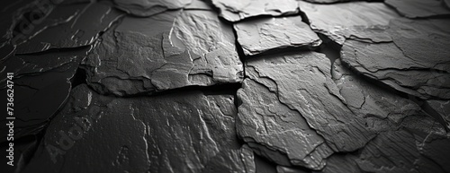 A monochrome image capturing the texture and details of a piece of wood against a dark grey black slate background.