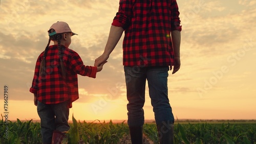 Child girl, dad go hand in hand, field corn sprouts. Family farming business. Agricultural industry. Dad daughter hold hands in field. Father, child walk on field, sunset. Growing corn, organic food