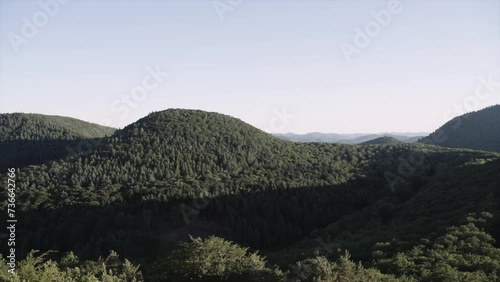 Drone Shot Of Palatinate Forest Against Clear Sky