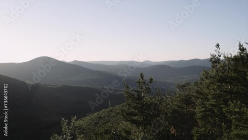 Handheld Zoom In Shot Of Palatinate Forest Against Clear Sky