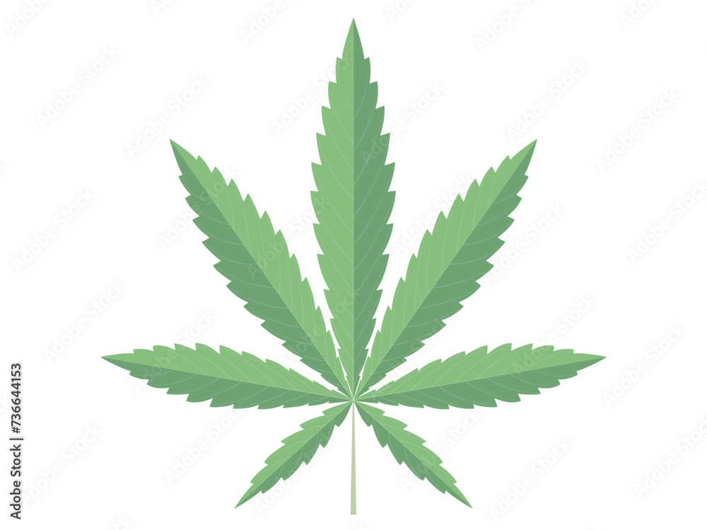 Cannabis Blatt Icon,
Vektor Illustration isoliert auf weißem Hintergrund

