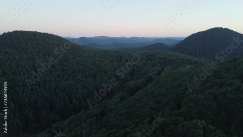 Drone Shot Of Palatinate Forest