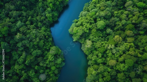 stunning aerial view of lush green forests and a clean river, symbolizing the beauty of our natural world on Earth Day