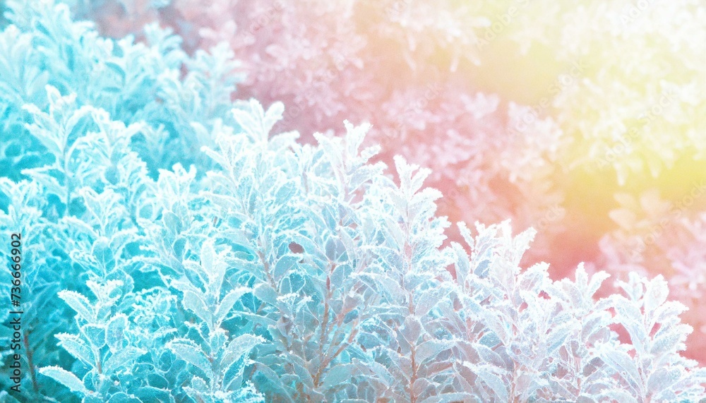 Horizontal background with bushes in frost, pleasant pastel colors