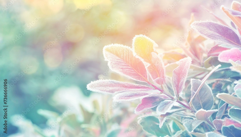 Horizontal background with bushes in frost, pleasant pastel colors