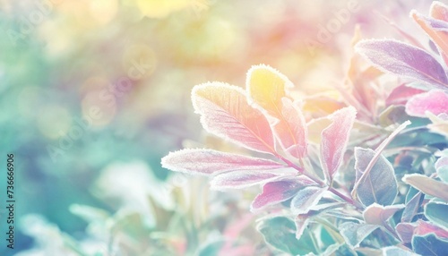 Horizontal background with bushes in frost  pleasant pastel colors