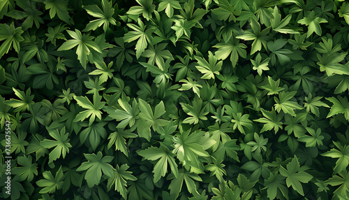 A dense and vibrant pattern of green leaves creates a lush  natural texture
