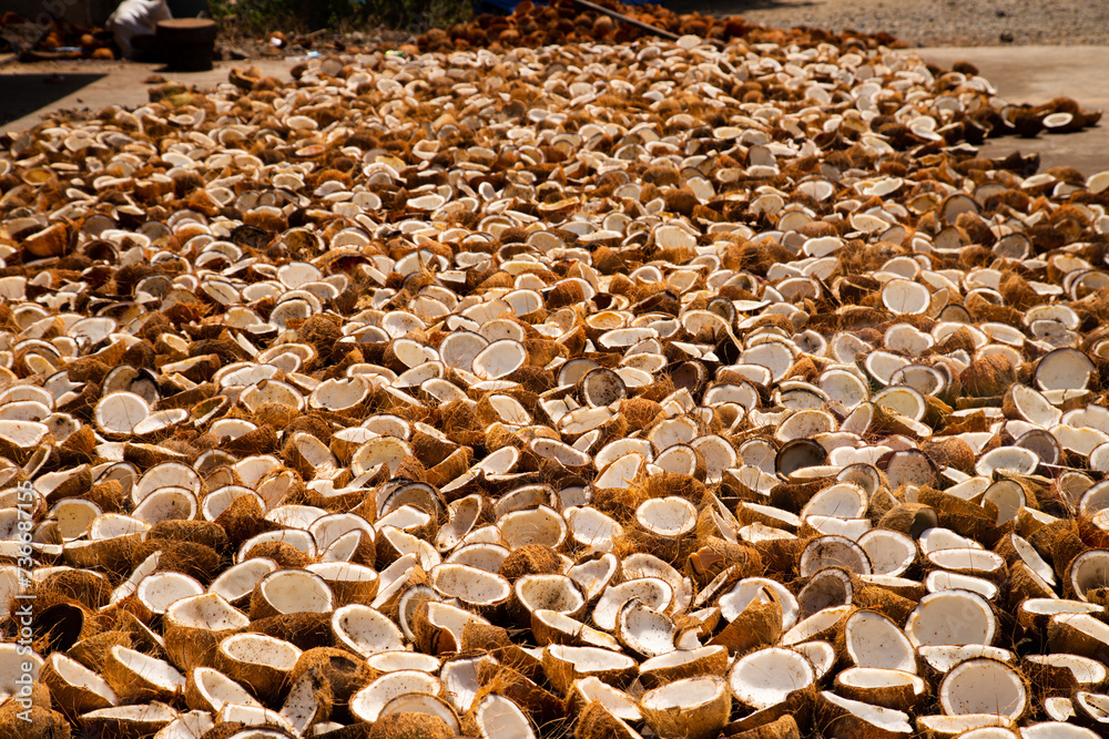 piles of coconuts dried in the sun to be made into copra. This copra will be processed into products made from coconut oil piles of coconuts dried in the sun to be made into copra. This copra will be processed into products made from coconut oil