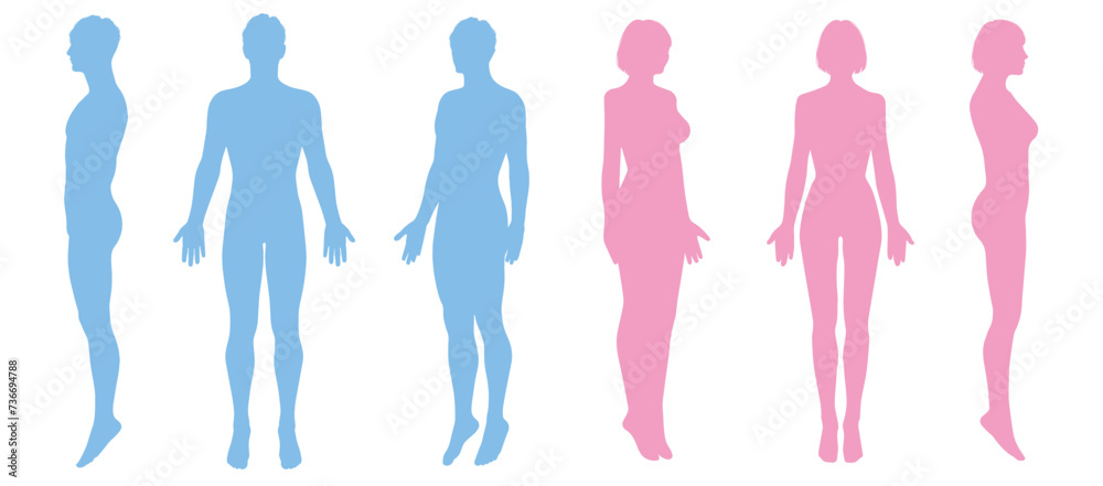 男性と女性の人体ボディ シルエットセット ピンク 水色 全身正面 横向き 斜めのイラスト