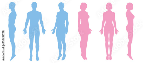水色の男性とピンクの女性の人体ボディ シルエットセット 全身正面 横向き 斜めのイラスト
