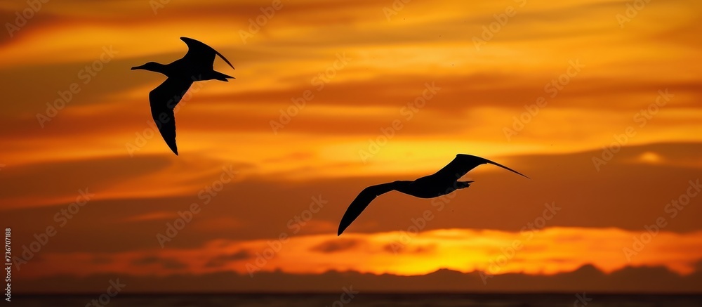 Fototapeta premium Two birds soar through the atmosphere during dusk, against a backdrop of the red sky at sunset, creating a beautiful natural landscape