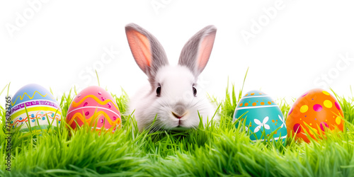 Easter white bunny and easter eggs on green grass field, spring meadow. Isolated on white background for copy space text. Easter concept banner, illustration by Vita © Vita