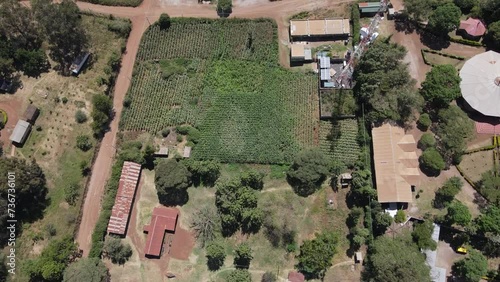 Telecommunications mast on plantation in Loitokitok, Kenya, aerial top down