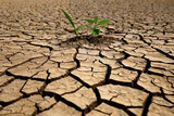 Transforming drought to green growth. Capturing the impact of climate change. Environmental evolution in action
