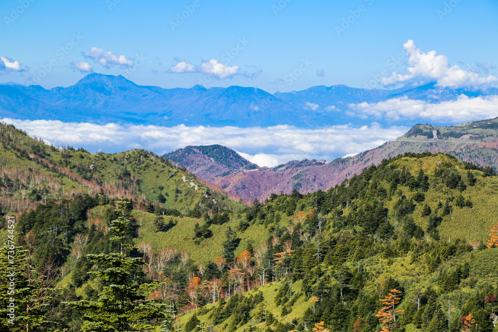 Mountain Cloud Sea