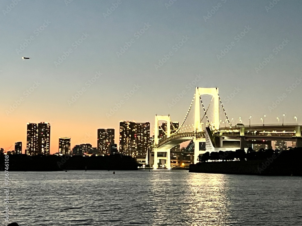 Tokyo, Japan’s Bustling Vibrant Capital