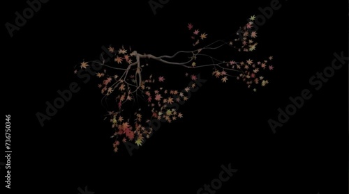 tree branch moving in the wind , 4k time lapse, balck screen background