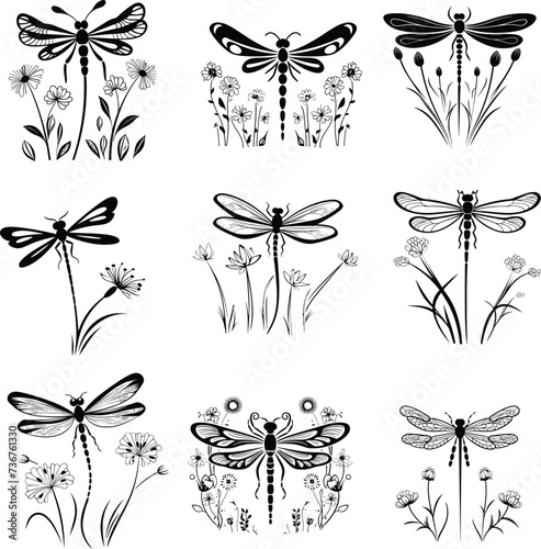 dragonfly silhouette, logo, set vector illustration