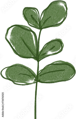 240215_flowers_005