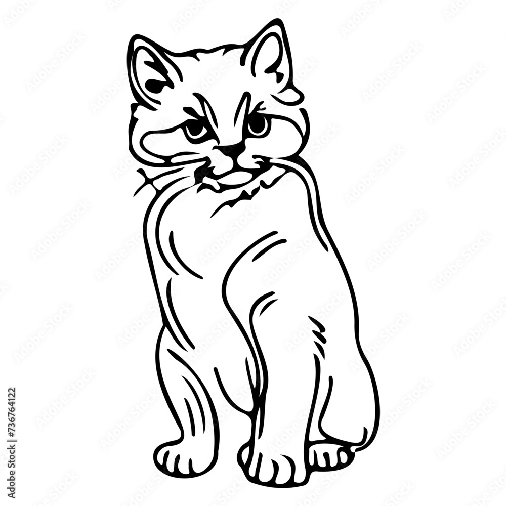 Fototapeta premium sketch line art animal cat kitten characters hand drawn isolated set. Vector graphic design element illustration