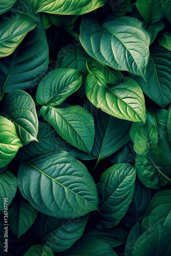 A densely packed cluster of green leaves with prominent veins in moody dark tones gives a feel of depth and mystery