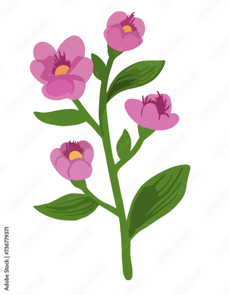 pink flower pink flower