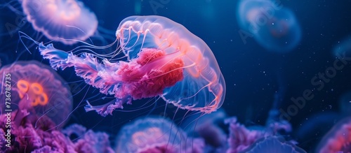 A vibrant group of marine invertebrates, including jellyfish in shades of azure, purple, and violet, gracefully swim in the gasfilled waters, creating a mesmerizing underwater art display © 2rogan