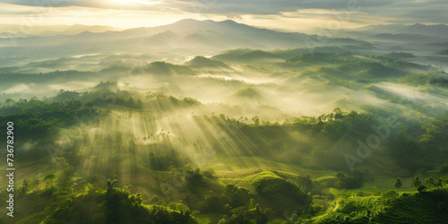Beautiful aerial View of hilly landscape in morning mist with sun rays