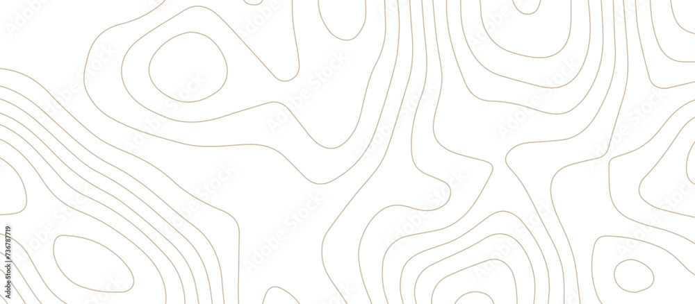 Abstract topography wavy line map background. vector illustration. topography map on land vector terrain Illustration. Black on white contours vector topography stylized height of the lines.