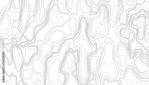 Background of the topographic map. Topographic map lines  contour background. Geographic abstract grid. Hiking  traveling  camping outdoor vacation backgrounds for advertisement.